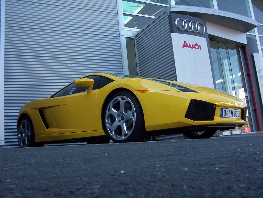 lamborghini gallardo